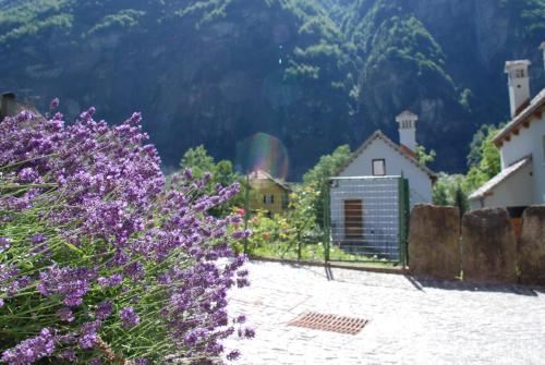 Ca’ del Borgo — Premia — photo 4