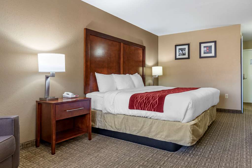 Comfort Inn & Suites Leeds I 20 - photo 6