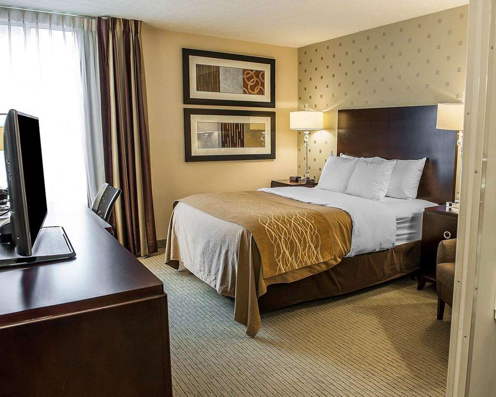 Comfort Inn Bloomington near University - photo 13