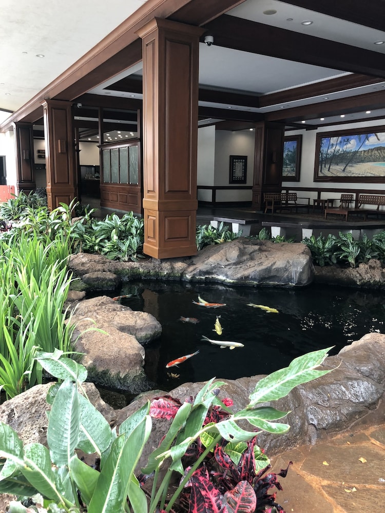 Waikiki Banyan By Darmic - photo 123