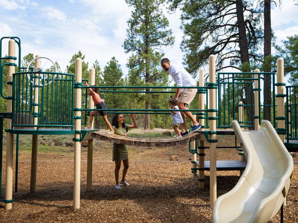 Little America Flagstaff - photo 14