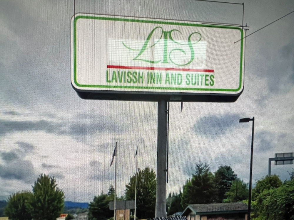 Lavissh Inn & Suites - photo 25