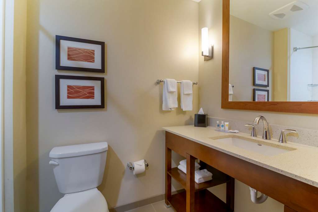 Comfort Inn & Suites Mandan Bismarck - photo 16