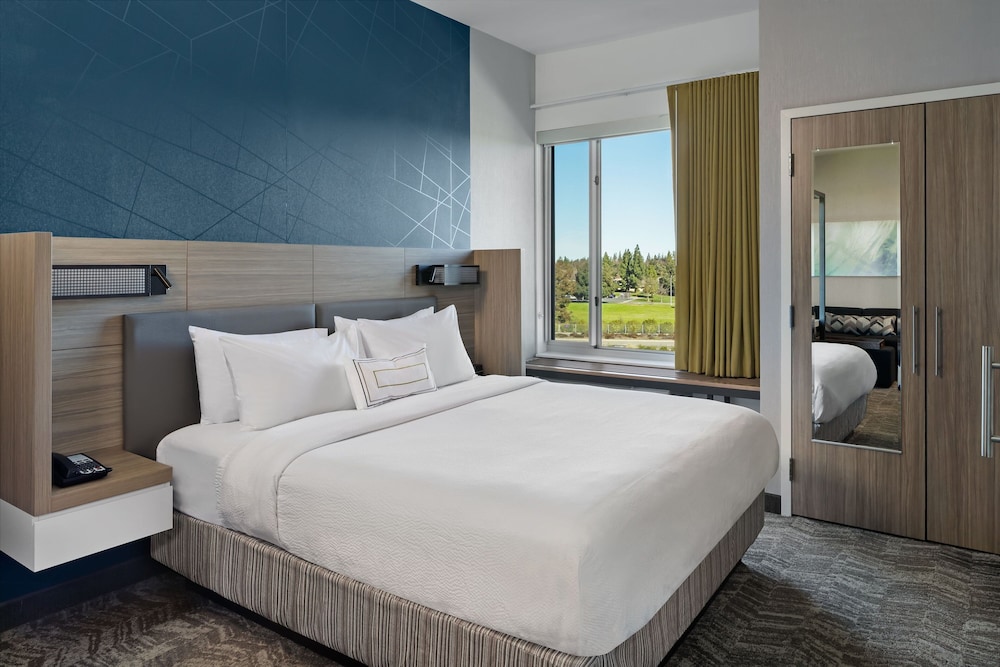 SpringHill Suites by Marriott West Sacramento - photo 10