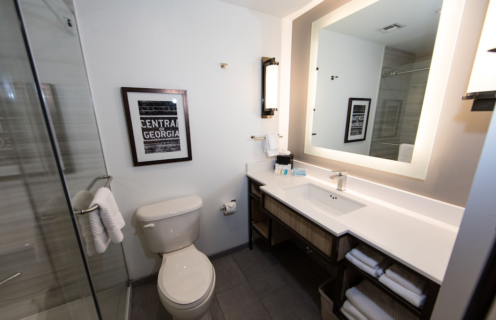 Hilton Garden Inn Savannah Historic District - photo 69