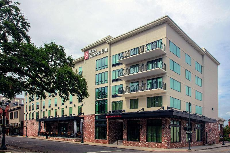 Hilton Garden Inn Mobile Downtown - photo 5