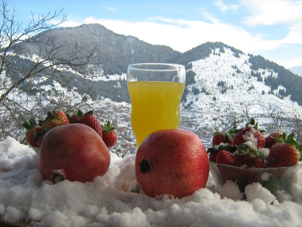 Archontiko Irene — Metsovo