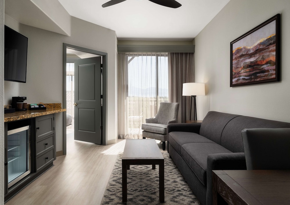 Embassy Suites by Hilton Tucson Paloma Village - photo 13