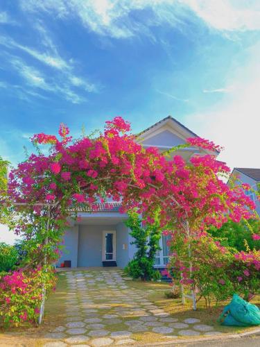 Jack's Home Ocean Vista Condotel Sealink Mui Ne — 4-Star Luxury Hotel in Phan Thiet, Vietnam