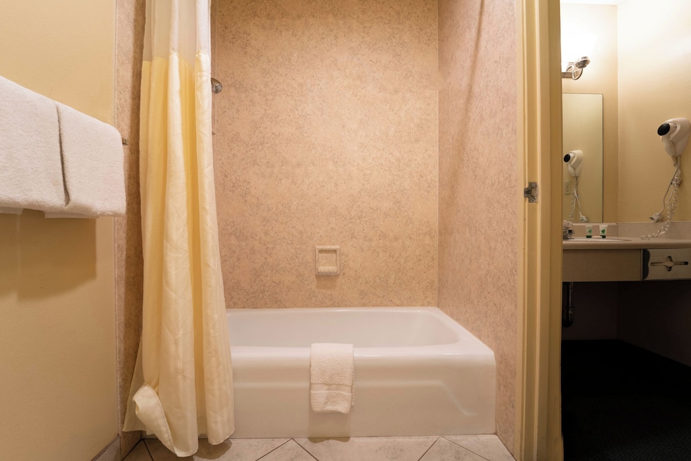 Royal Plaza Inn Indio - photo 53