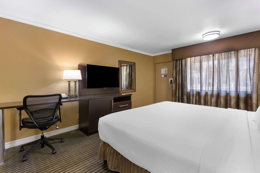 Royal Sun Hotel & Suites - photo 8