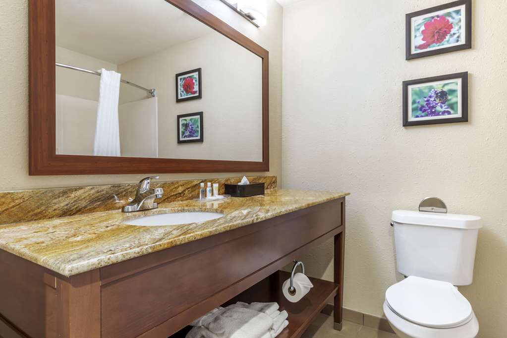 Comfort Inn & Suites Temple Medical Center - photo 24