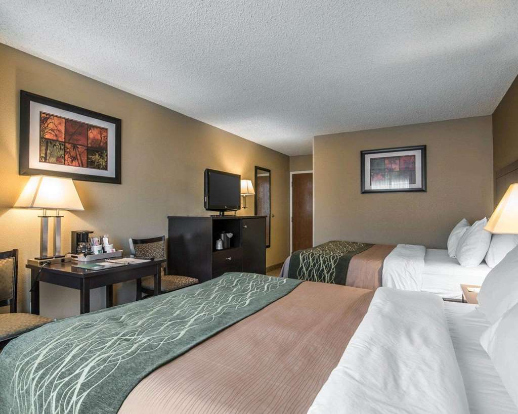 Comfort Inn Saugerties - photo 12