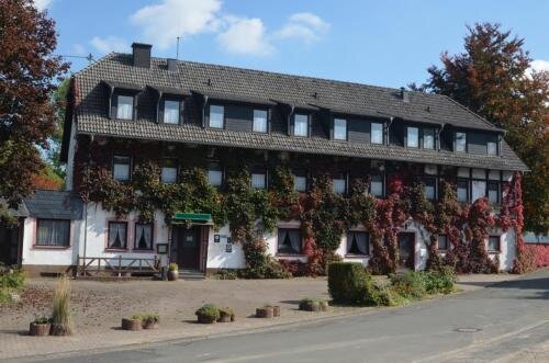 Niedereher Mühle — hotel in Uxheim
