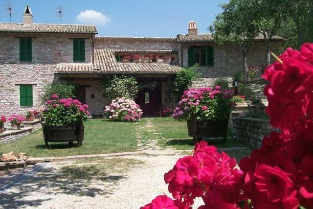 L’oasi