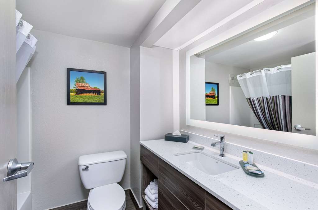 La Quinta Inn by Wyndham Pigeon Forge Dollywood - photo 36