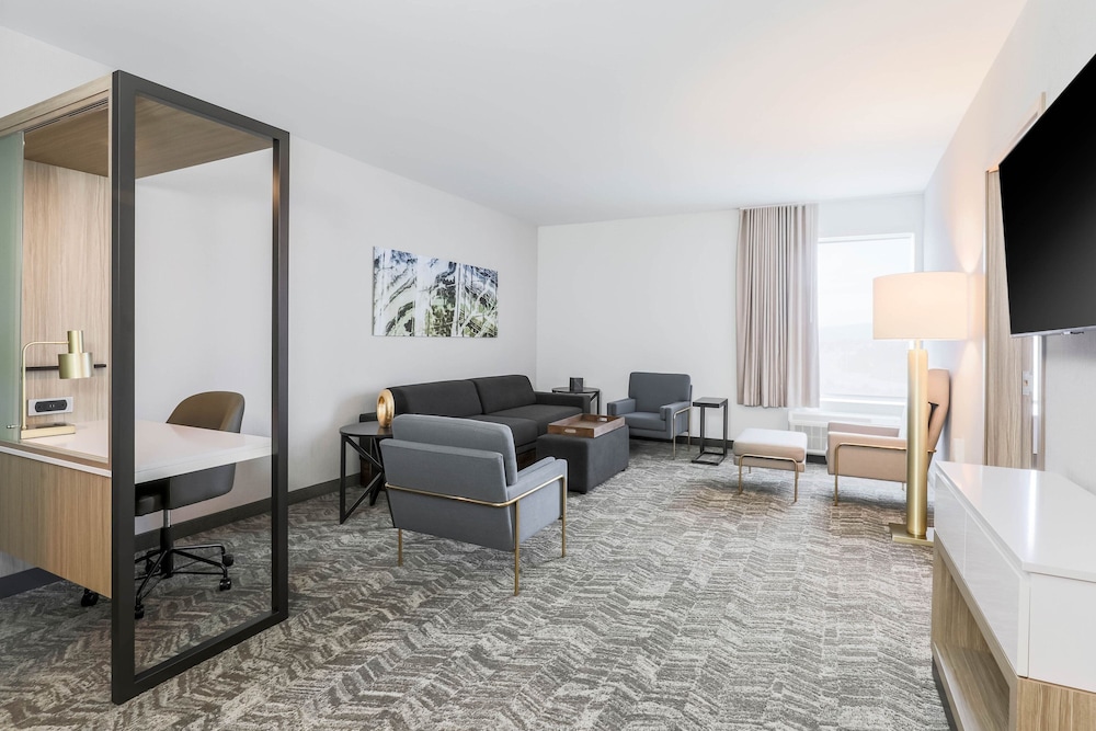SpringHill Suites by Marriott San Jose Fremont - photo 14