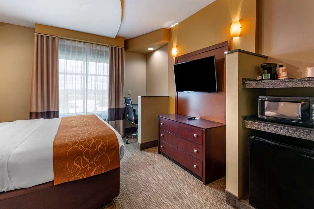 Comfort Suites Perrysburg Toledo South - photo 18