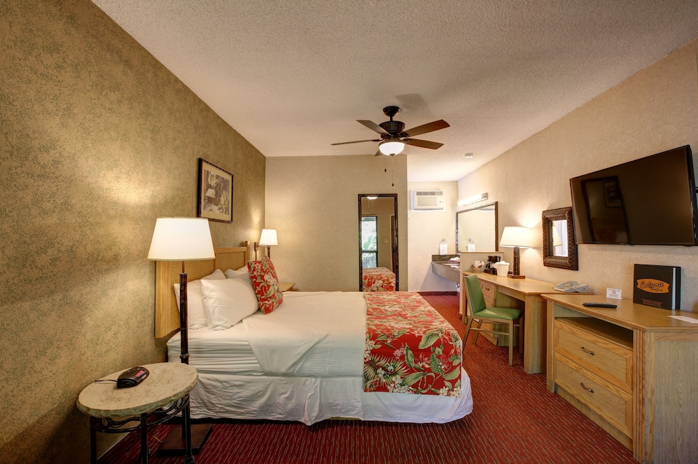 Caliente Tropics Hotel - photo 10