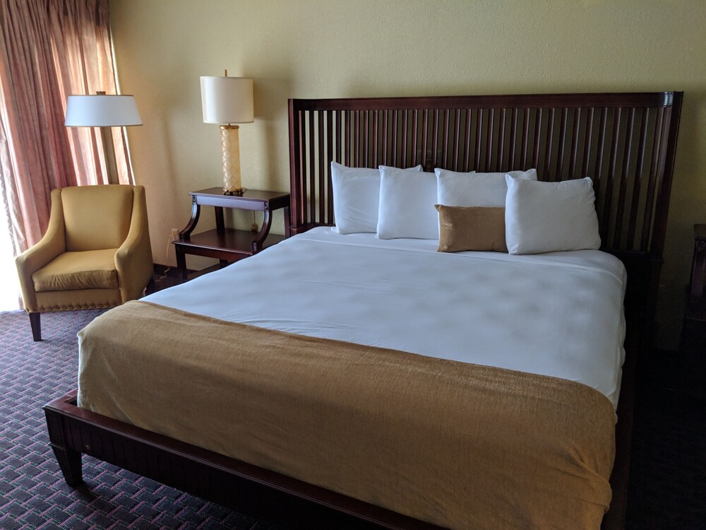 Vista Inn Lake Tarpon - photo 12