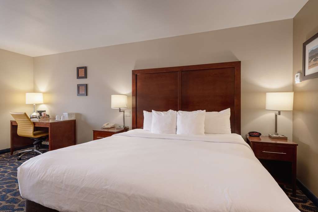 Comfort Inn & Suites Alamosa - photo 16