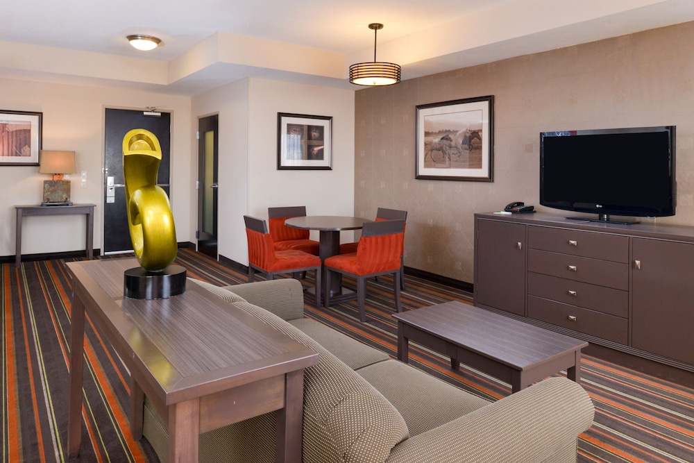 Holiday Inn Amarillo West Medical Center by IHG - photo 16