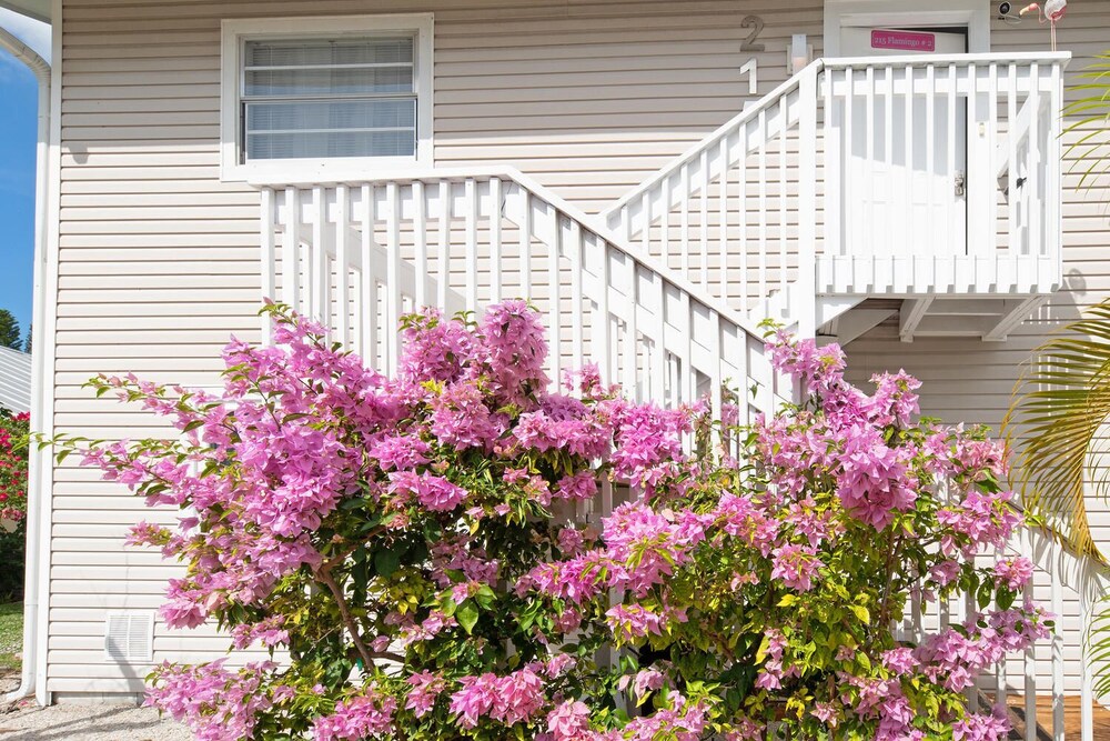Blue Dolphin Estates - photo 15