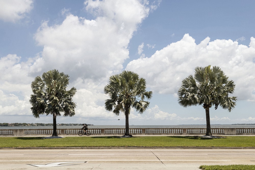 Roost Tampa - photo 54