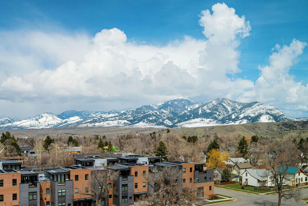 AC Hotel Bozeman Downtown - photo 5