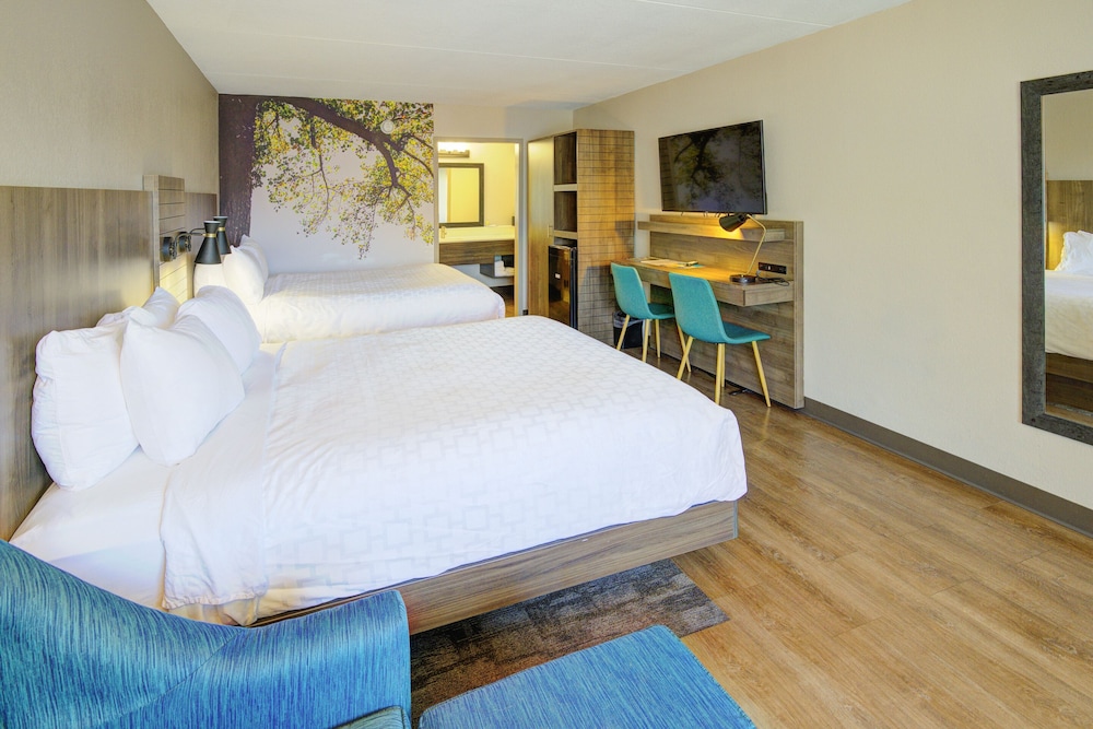 Clarion Pointe Downtown Gatlinburg - photo 20