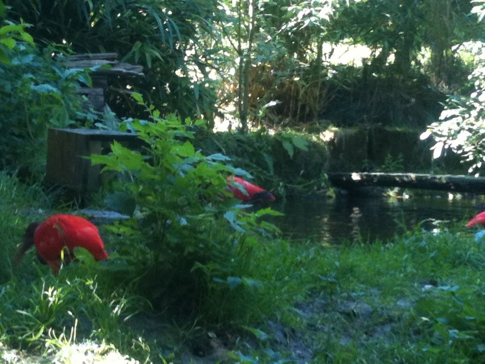 Children's activities