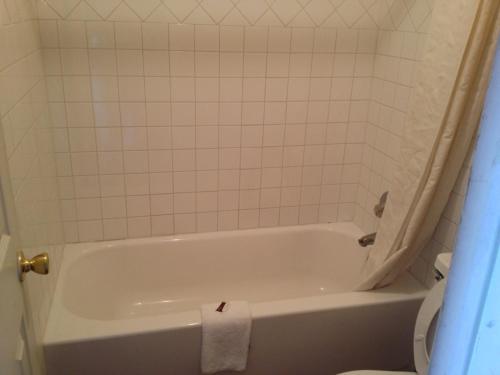 Austin Motor Inn - photo 44