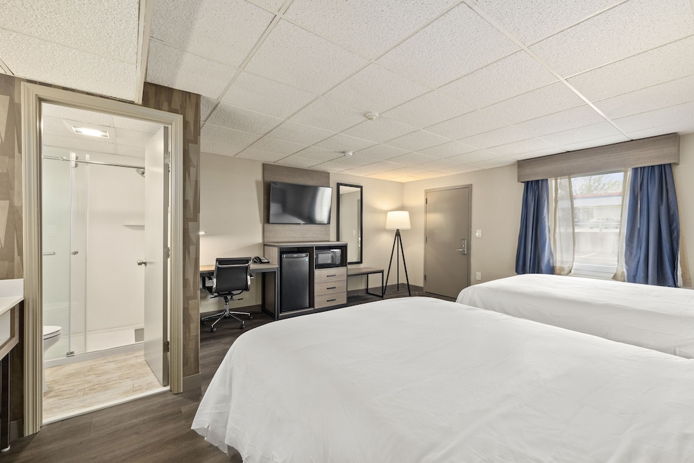 The Elmwood - photo 10