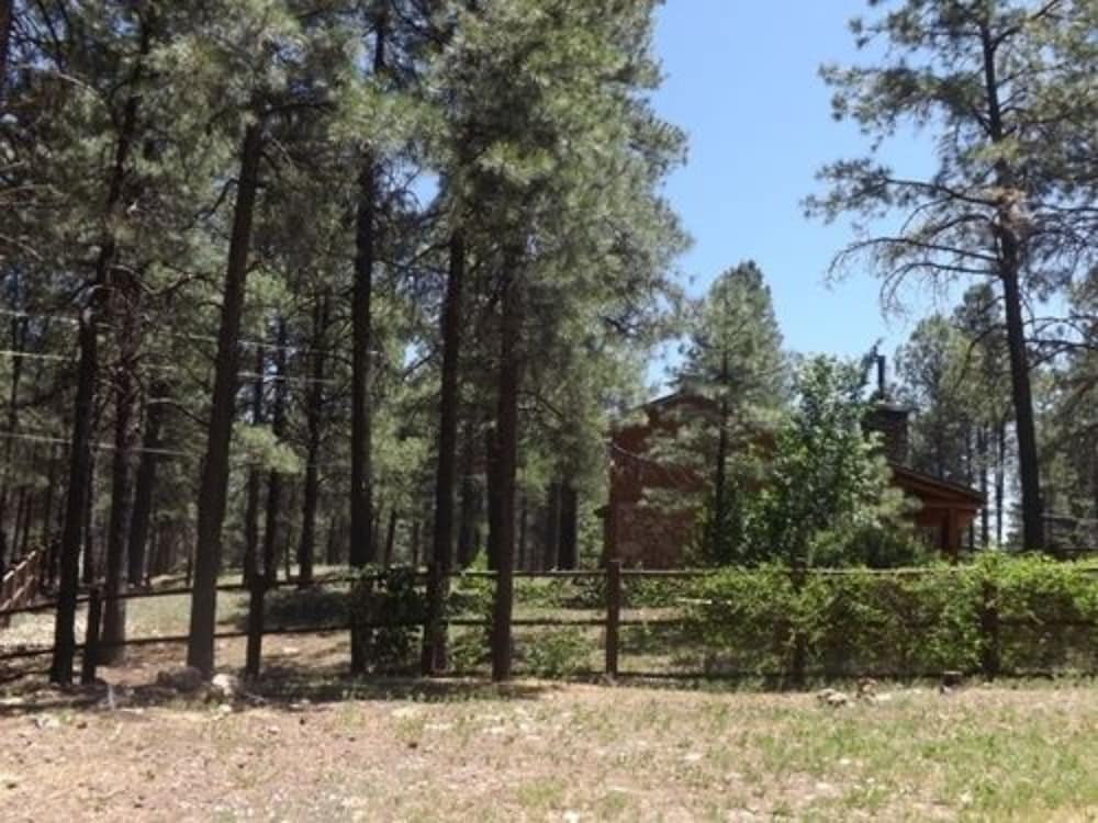 Arizona Mountain Inn and Cabins - photo 326