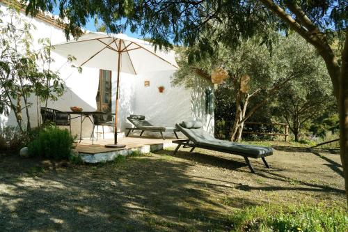 Cortijo Lagar de Luisa — Almachar — photo 3