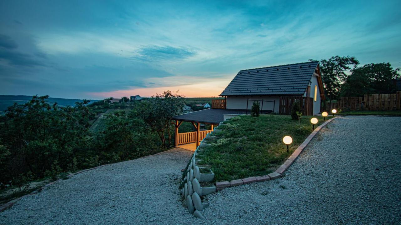 Mosoly Borvendeghaz in Szekszard, Hungary