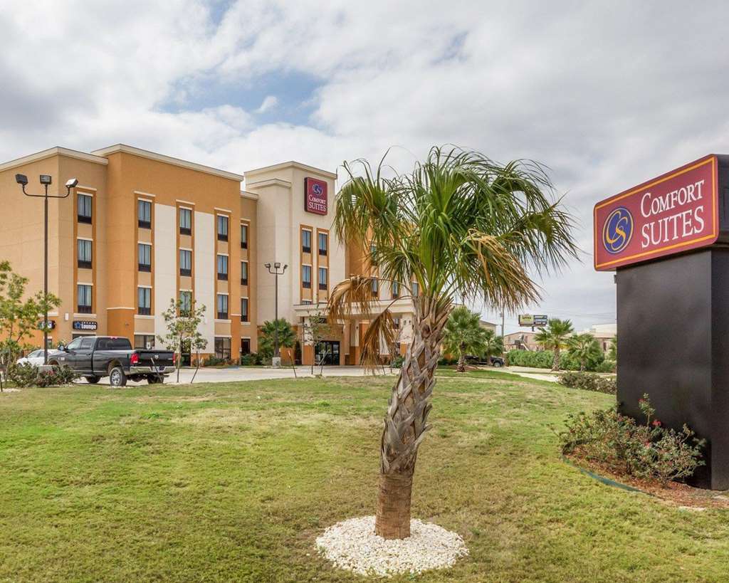 Comfort Suites Cotulla near I 35 - photo 2