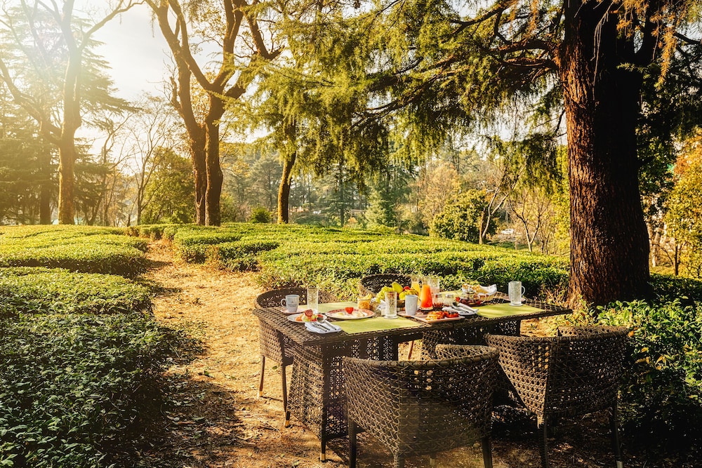 Infinitea Dakbunglow Palampur in Palampur, India