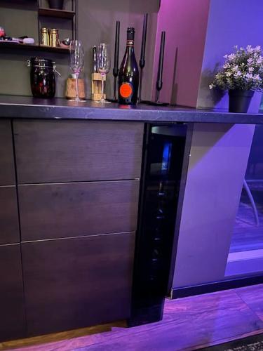 Luxurious apartment in Reykjavík