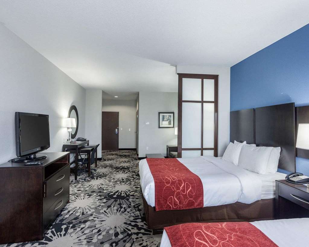 Comfort Suites Greenville - photo 16