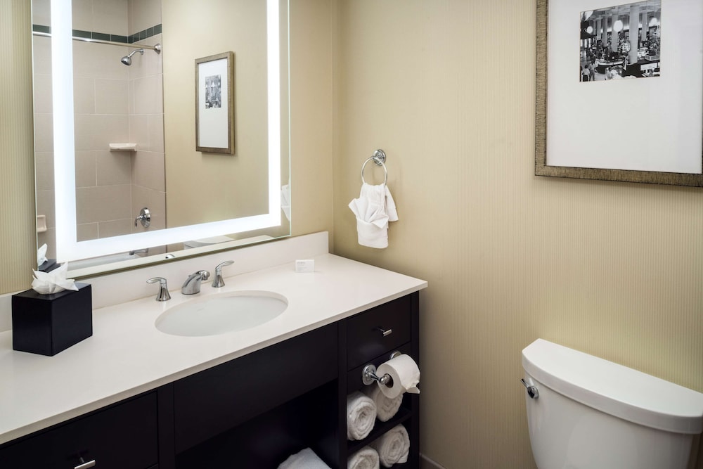 Embassy Suites by Hilton St. Louis Downtown - photo 28