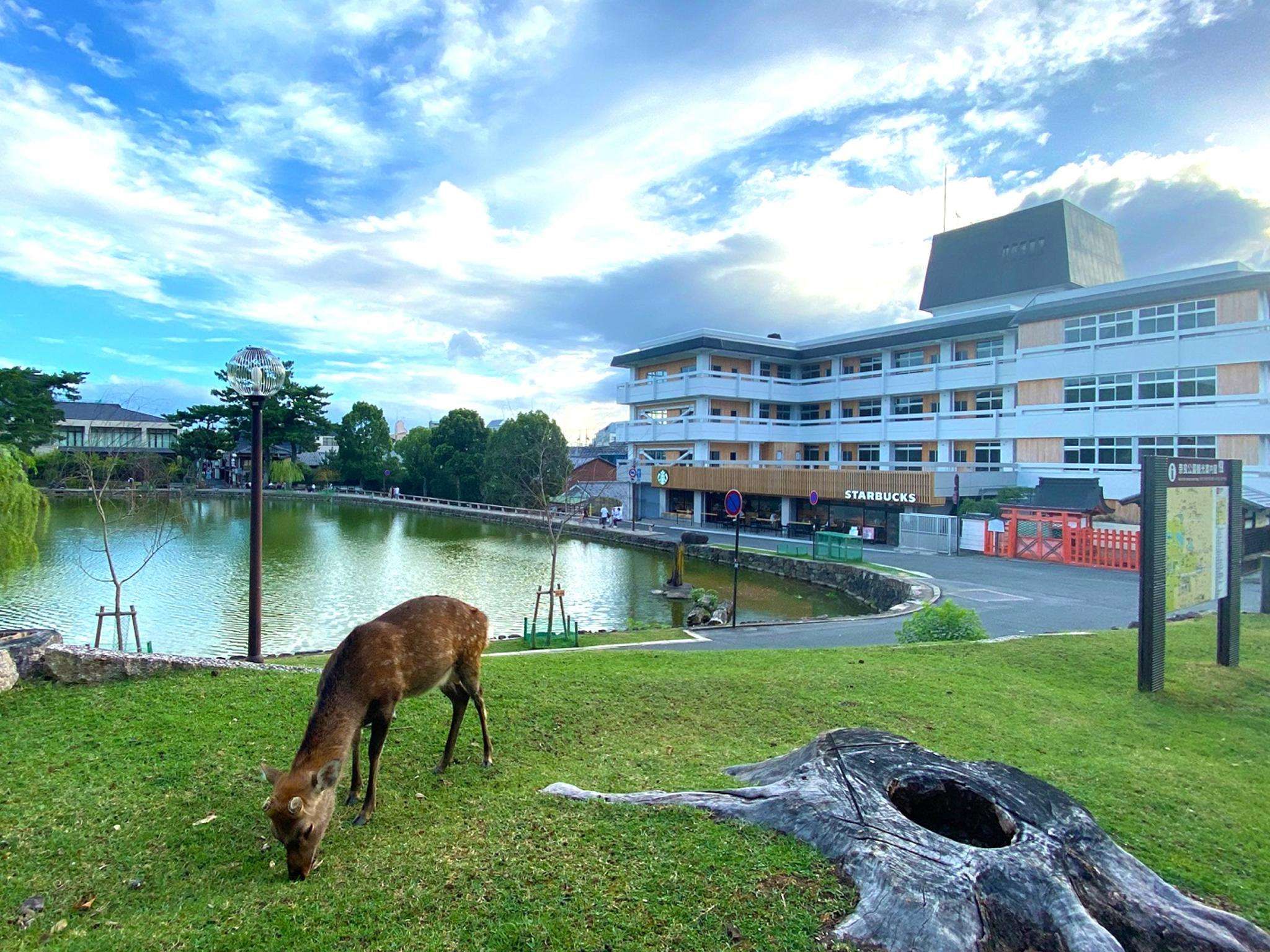 Hotel Tenpyo Naramati in Nara-Shi, Japan