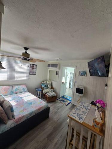 All Season Holiday Seashore Getaway in Wildwood, United States