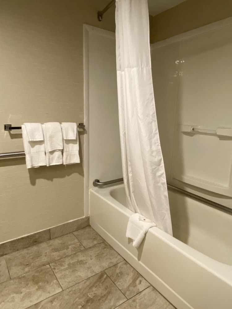 Clarion Inn & Suites Grand Rapids Airport - photo 56
