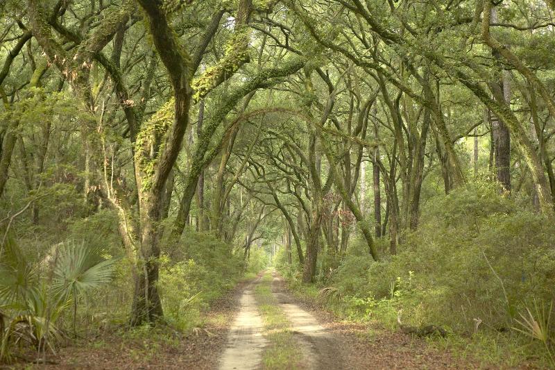 The Inn at Palmetto Bluff - photo 9