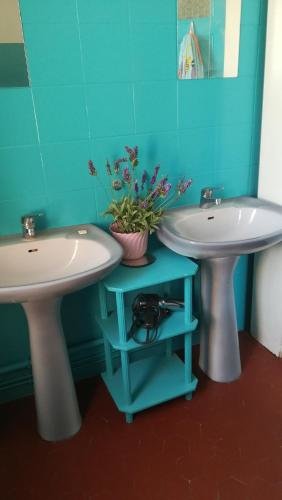 Lolifan En Provence — Brignoles — photo 5