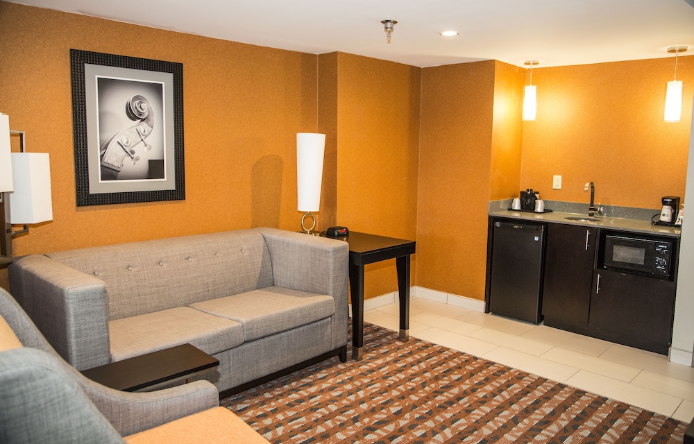 Holiday Inn Express & Suites Nashville Southeast Antioch by IHG - photo 3