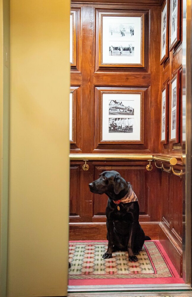 The Willcox - photo 42