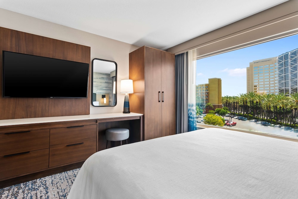 Embassy Suites by Hilton Anaheim South - photo 18