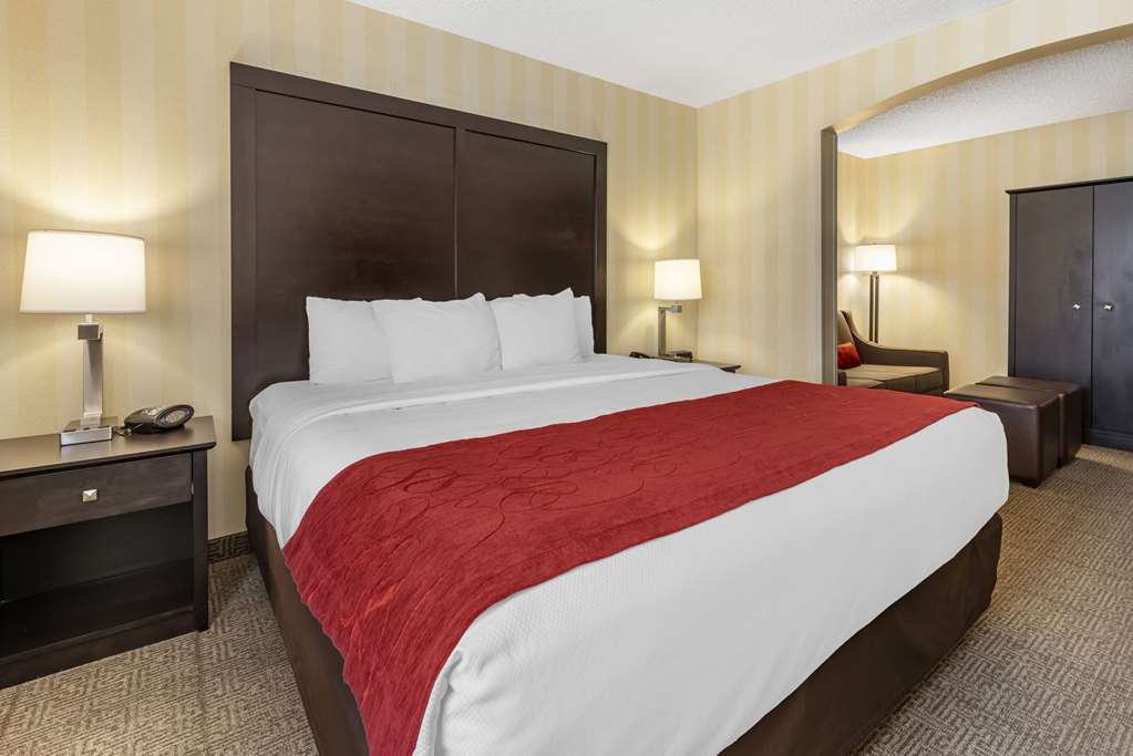 Comfort Suites Highlands Ranch Denver Tech Center Area - photo 8